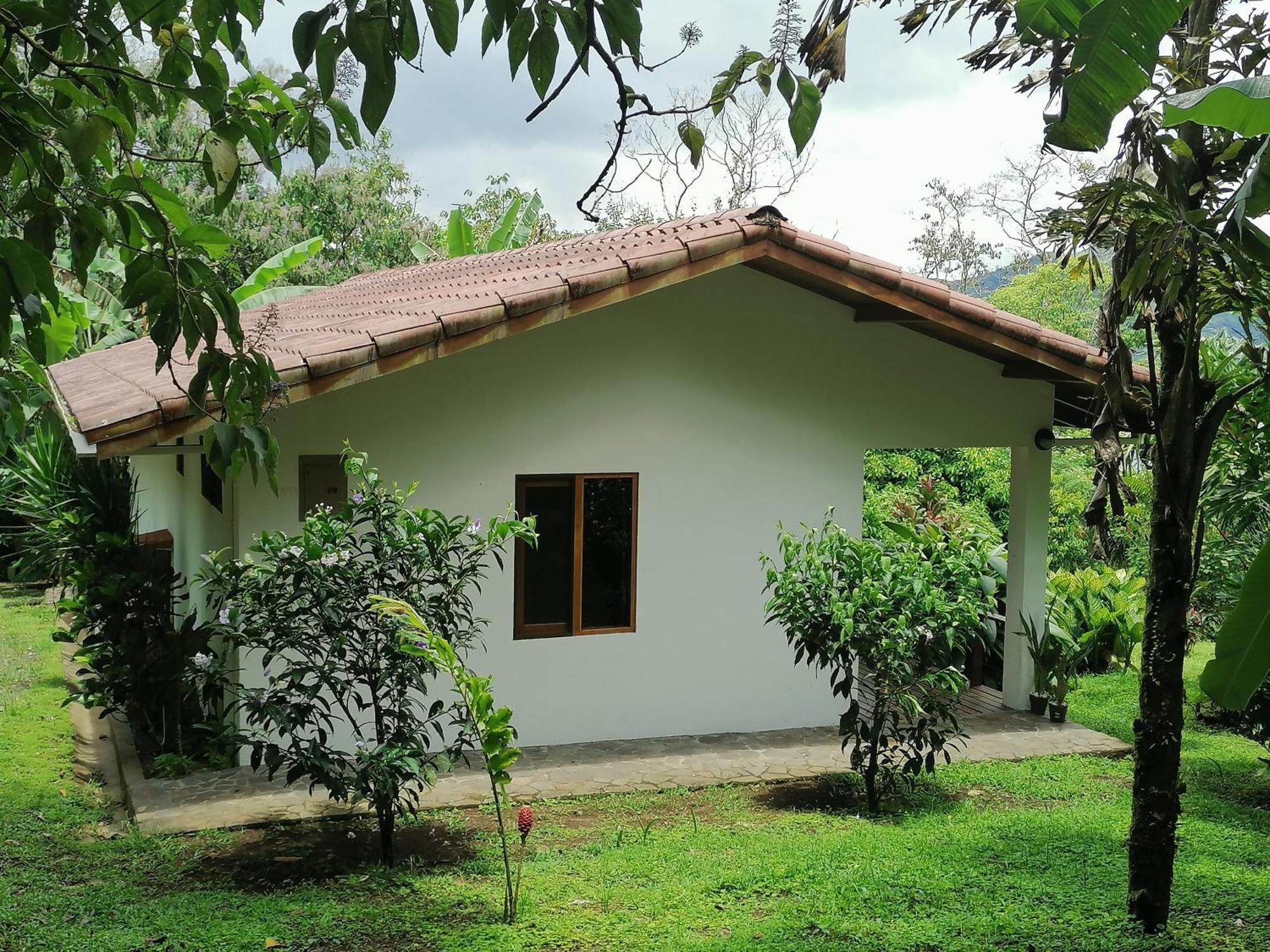 La Ceiba Tree Lodge Tilaran Bagian luar foto