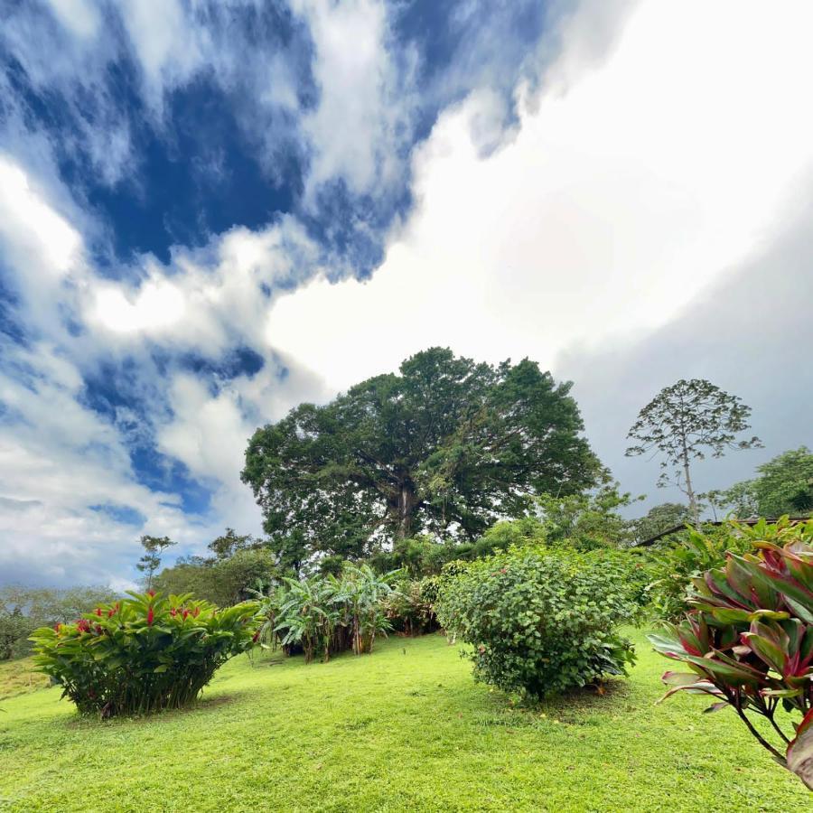 La Ceiba Tree Lodge Tilaran Bagian luar foto
